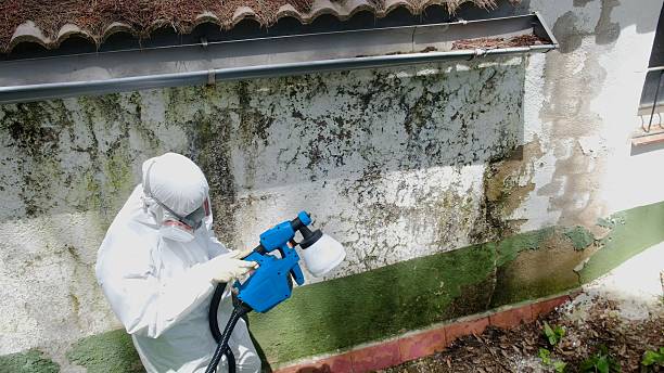 Top rated local Mold Remediation specialists in Alexandria, PA